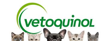 Vetoquinol