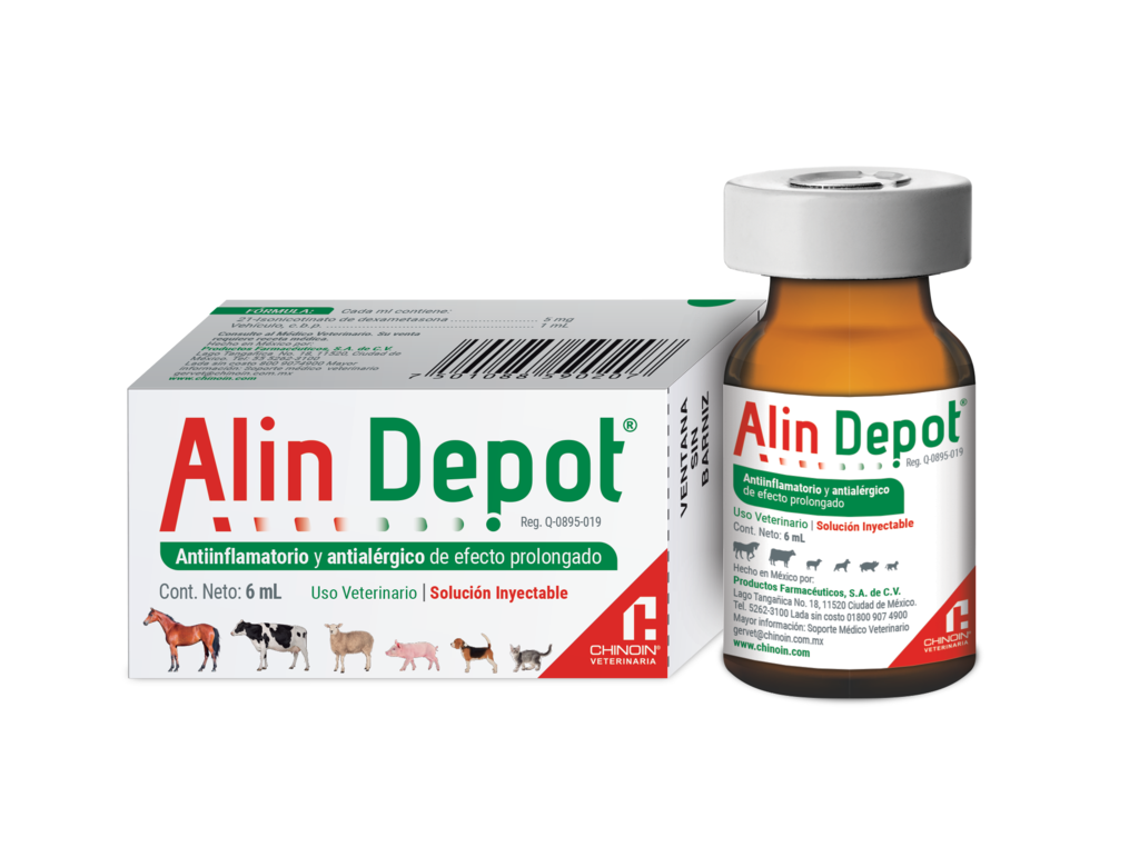 ALIN DEPOT INY. 6 ML