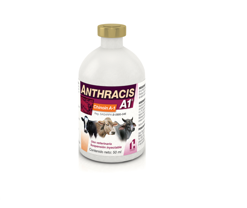 ANTHRACIS CHINOIN A-1 50 ML. 25 DOSIS