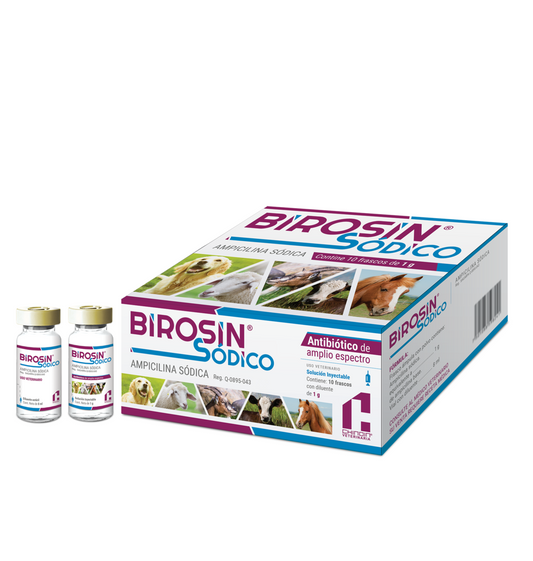 BIROSIN SODICO SOL. INY. 1 GR C/10 VET