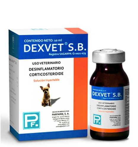 DEXVET-SB 10ML