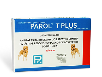 PAROL T PLUS 12 TAB