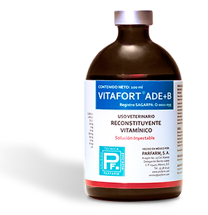 VITAFORT ADE+B 500ML