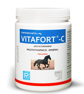 VITAFORT C 1KG