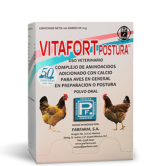 VITAFORT POSTURA 100X10G