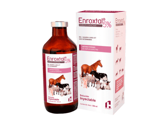 ENROXTAL SOL. INY. 5% 25 mL VET.