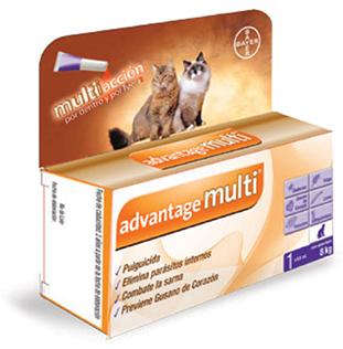ADVANTAGE MULTI GATO 8 0.8 ML