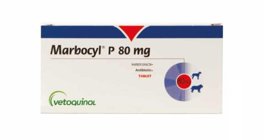 MARBOCYL P 80 MG BLISTER 6 COMP