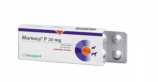 MARBOCYL P 20 MG BLISTER 10 COMP