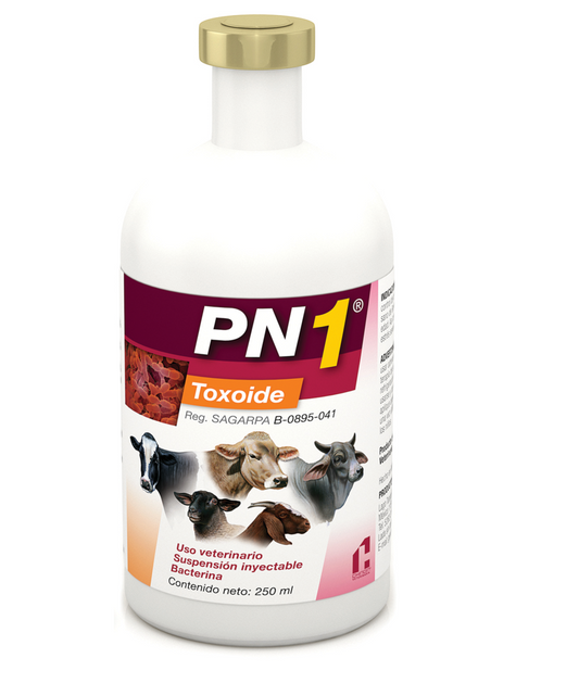 CHINOIN PN-1 250 ML. 50 DOSIS
