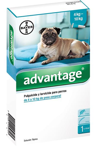 ADVANTAGE 10 UNIPIPETA 1.0 ML