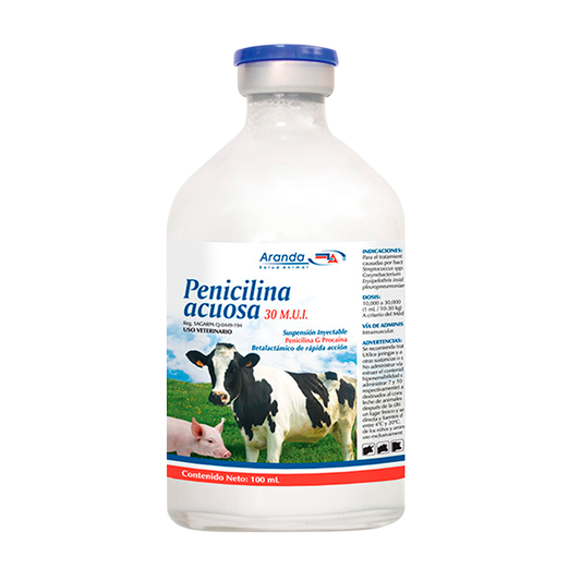 PENICILINA ACUOSA 100 ML.
