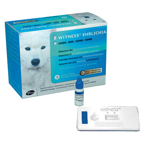 WITNESS EHRLICHIA MEDEV (TEST) 5 PRUEBAS