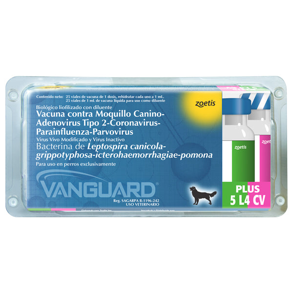VANGUARD PLUS 5/L4-CV 1DS