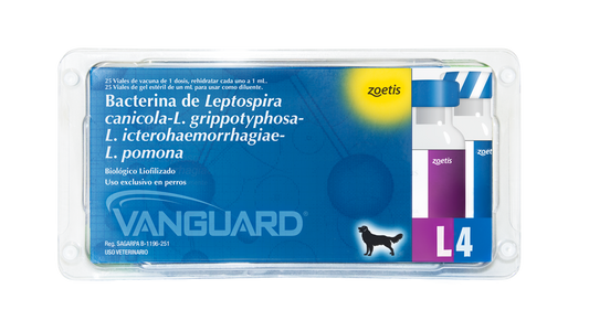 VANGUARD PLUS 5 L4 VAC 1 DS