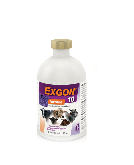 BACTERINA EXGON-10 50 ML.