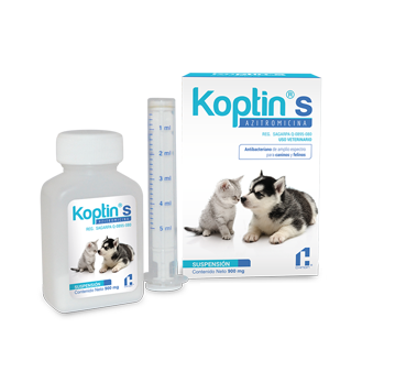 KOPTIN S POLVO P/SUSP FCO. P/22.5 mL VET